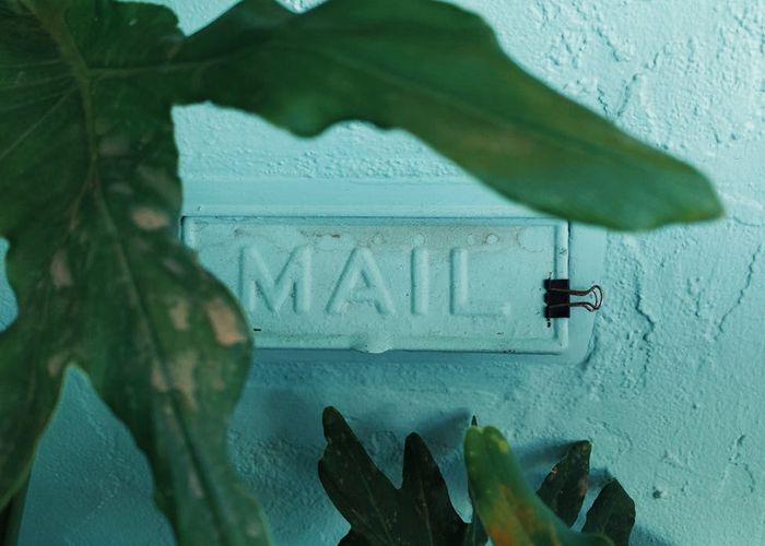 Green stylized plant growing towards light